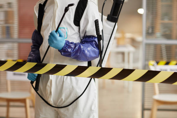 Professional Sewage Cleanup technician working in Roosevelt, NY